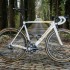 Paris-Roubaix : Le Specialized Roubaix S-Works de Tom Boonen