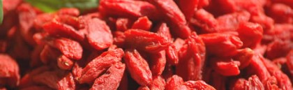 La Baie de Goji : l'atout minceur du cycliste !