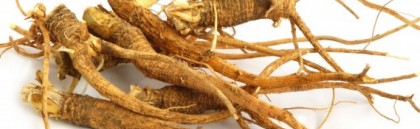 Les bienfaits du ginseng pour le cyclisme