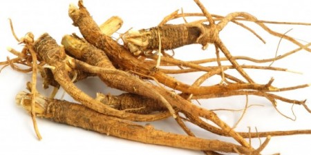 Les bienfaits du ginseng pour le cyclisme