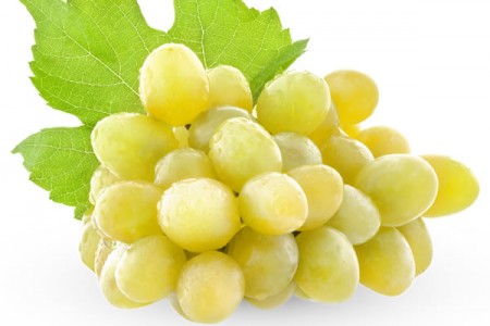 Image du dossier Le raisin, un fruit très peu calorique pour le cycliste