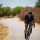 Quels sont les objectifs de l'entrainement en vélo ?