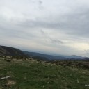 IMG_0768