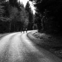 JOLY_184926-44