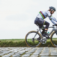 Cadres Specialized Peter Sagan 01