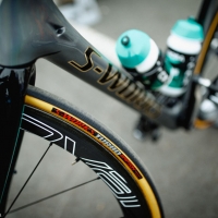 Cadres Specialized Peter Sagan 05