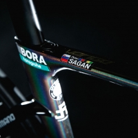 Cadres Specialized Peter Sagan 10