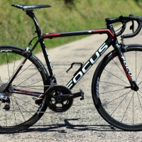 focus-izalco-max-5469