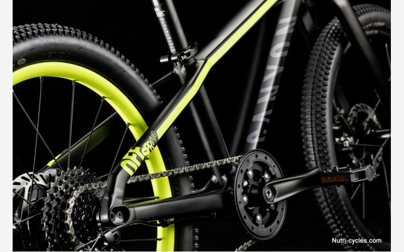 Canyon offspring 24 best sale