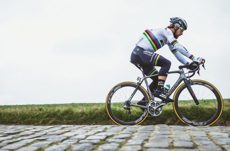 Cadres Specialized Peter Sagan 01