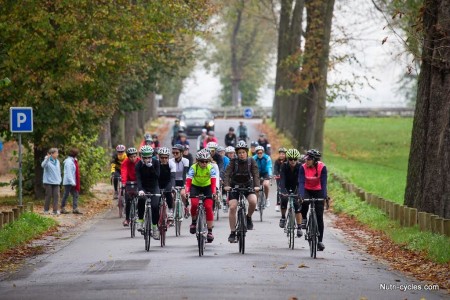 pwcc2014-preview-001