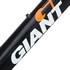 Giant Defy Advanced SL 0 : légèreté, stabilité et confort !