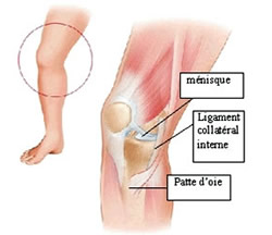 Les blessures du cycliste