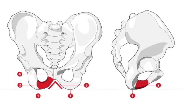 Comment choisir une selle de vélo Bontrager ?