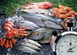 Chrononutrition
