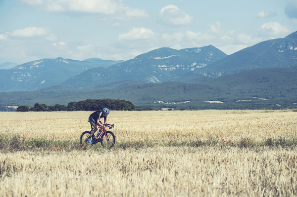 Les différentes formes d'endurance à travailler