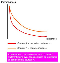 Endurance VTT