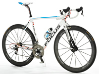 Focus Izalco