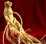 Ginseng