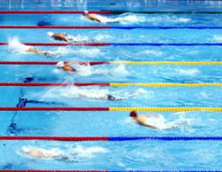 La natation pour le cycliste