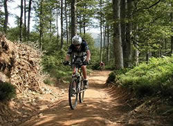 Perdre du poids à VTT