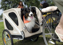 Remorque vélo pour chien ou chat