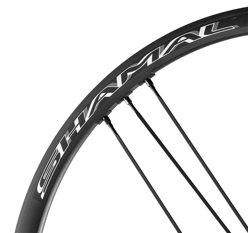 Campagnolo Shamal Ultra Disc 2 Way Fit