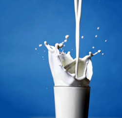 Le lait
