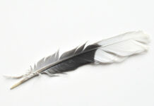 Alléger son vélo : les 7 upgrades qui valent vraiment le coup