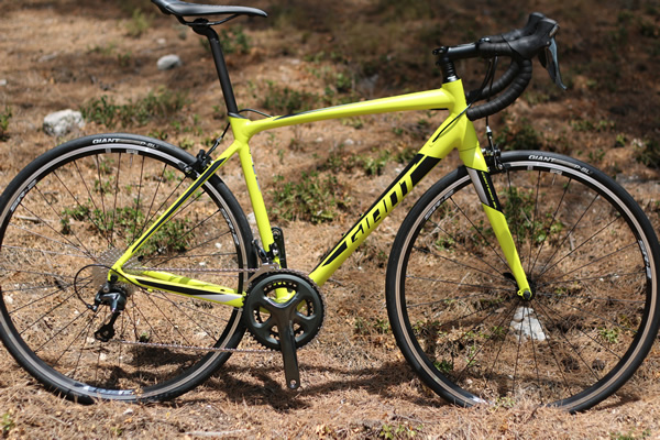 Giant Contend 2017