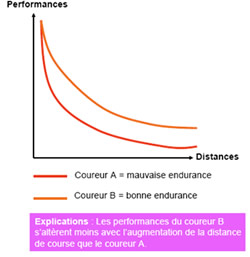 Les sorties longues à vélo