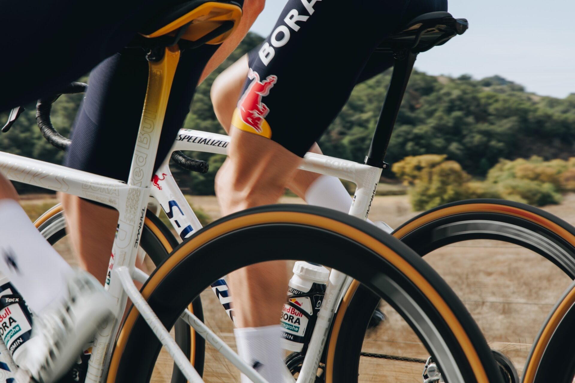 specialized-cotton-tlr-coton-tubeless-pour-la-vitesse-1