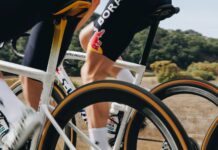 Specialized Cotton TLR : le retour du coton en version tubeless haute performance